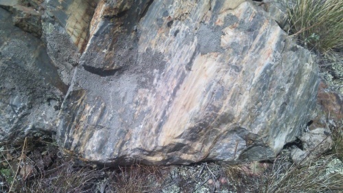 Гигантские зелёные валуны для ландшафтного дизайна весом более 5 тонн купить в Щёлково