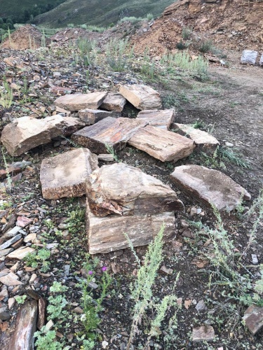 Плитняк кора дерева 50-100мм для пошаговых дорожек купить в Щёлково